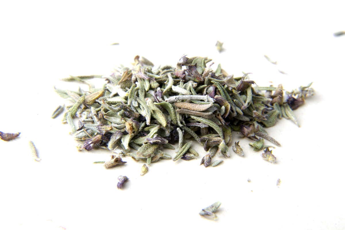 Thym thymol du Languedoc – bio et sauvage