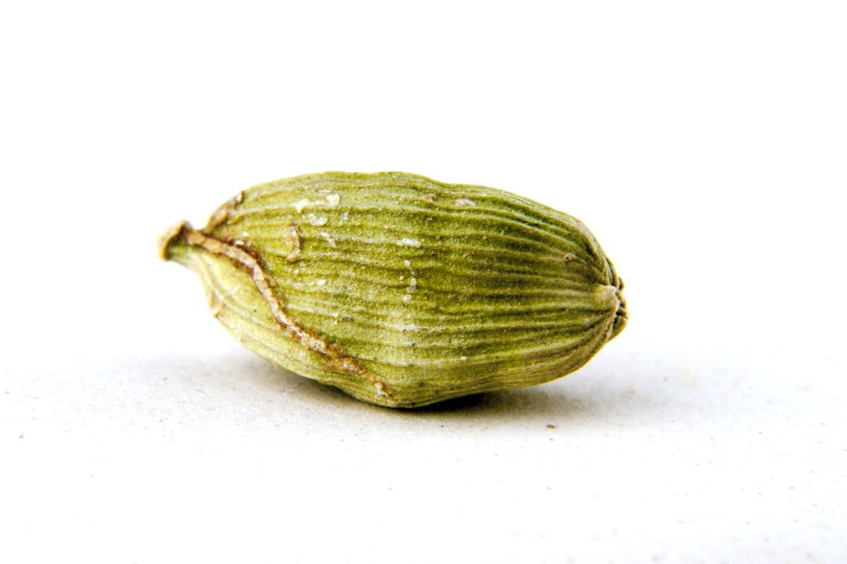 Cardamome verte du Kerala – bio et sauvage