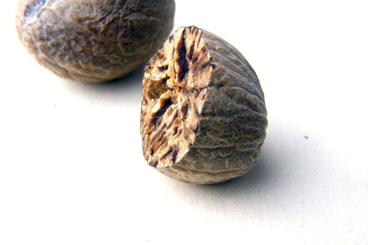 Muscade de Sulawesi – bio