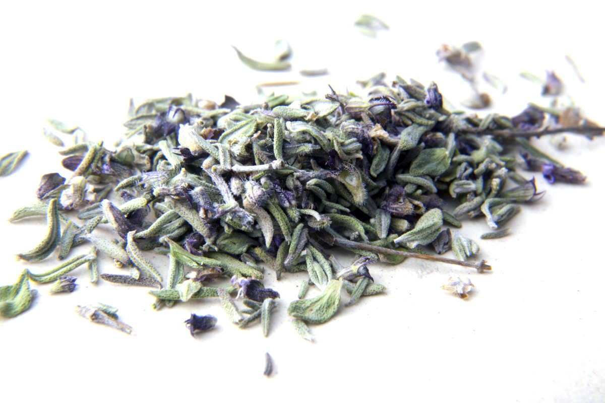 Thym thuyanol du Languedoc – bio et sauvage