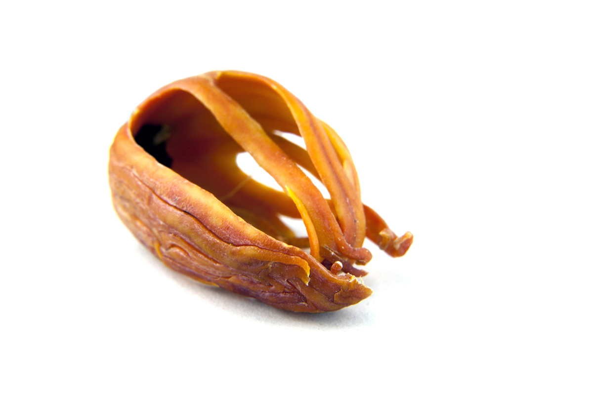 Macis du Sri Lanka – bio