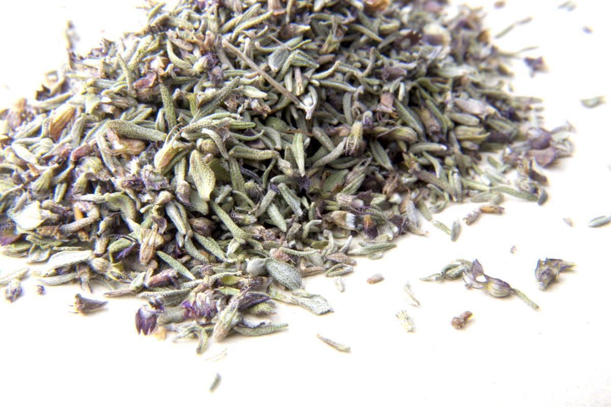 Thym carvacrol du Languedoc – bio et sauvage