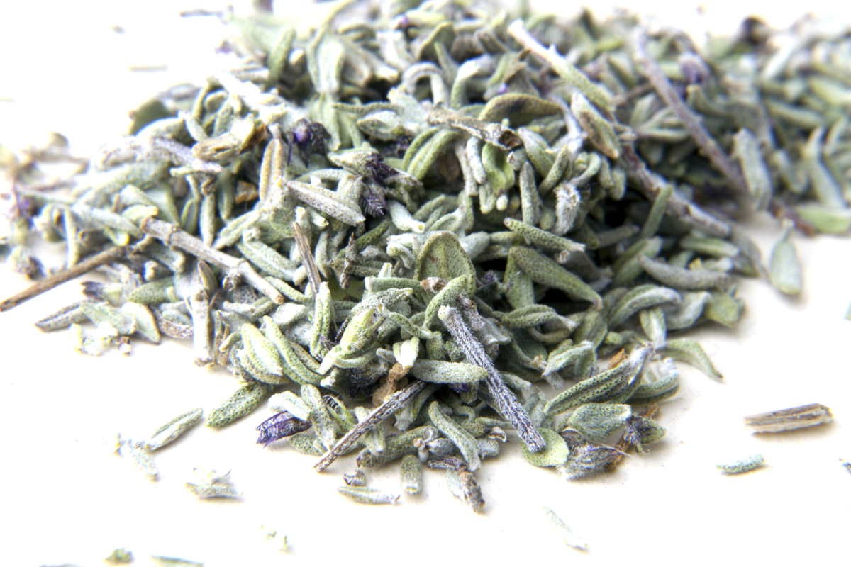 Thym linalol du Languedoc - bio et sauvage