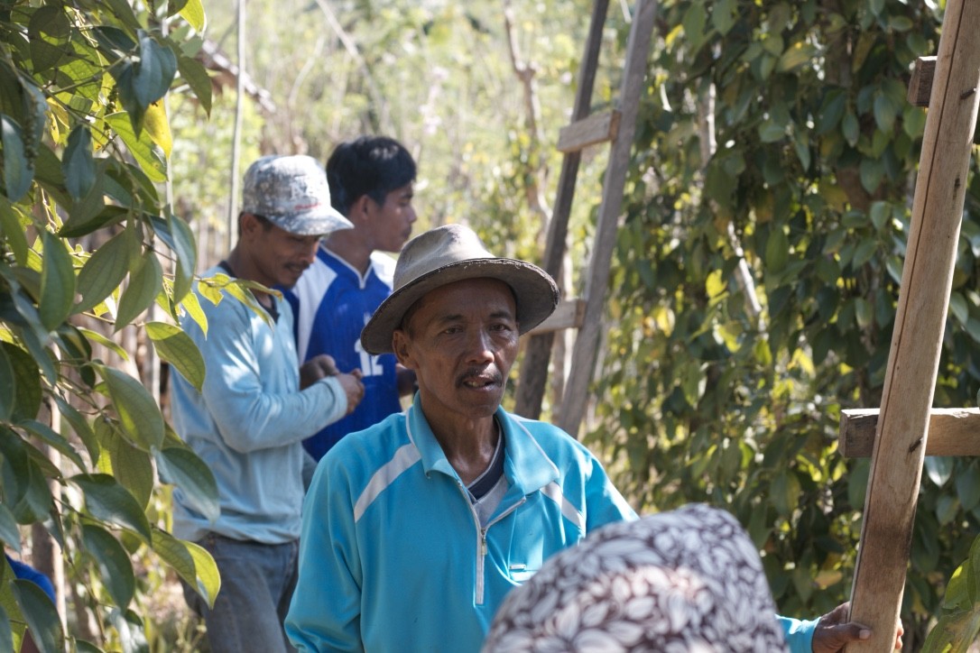 Poivre noir de Sulawesi – bio