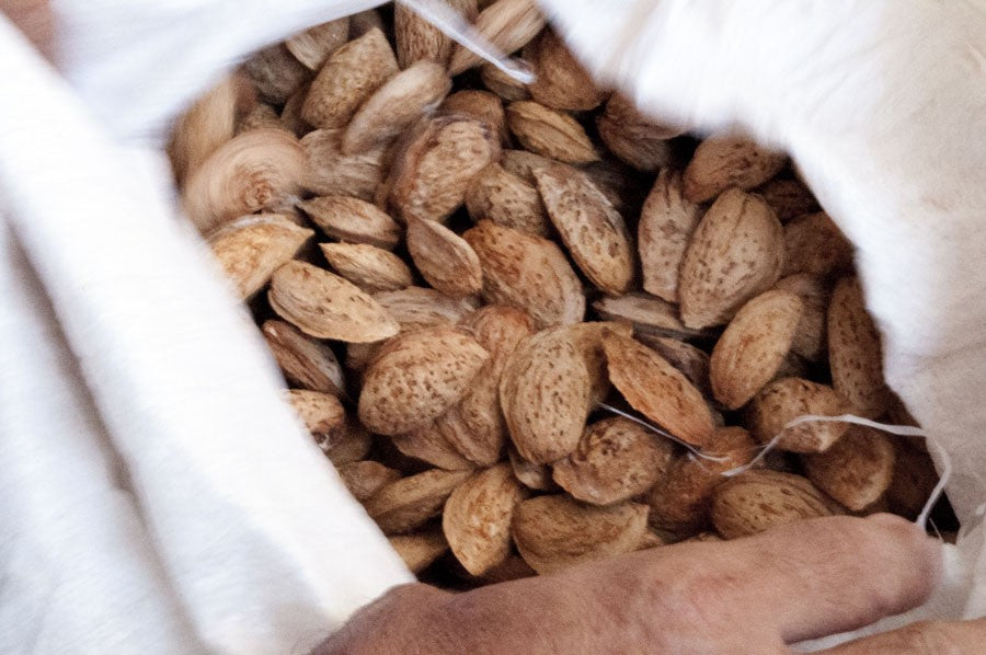 Amandes de Palestine au garam masala