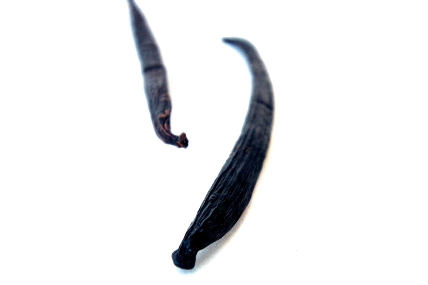 Vanille de Java