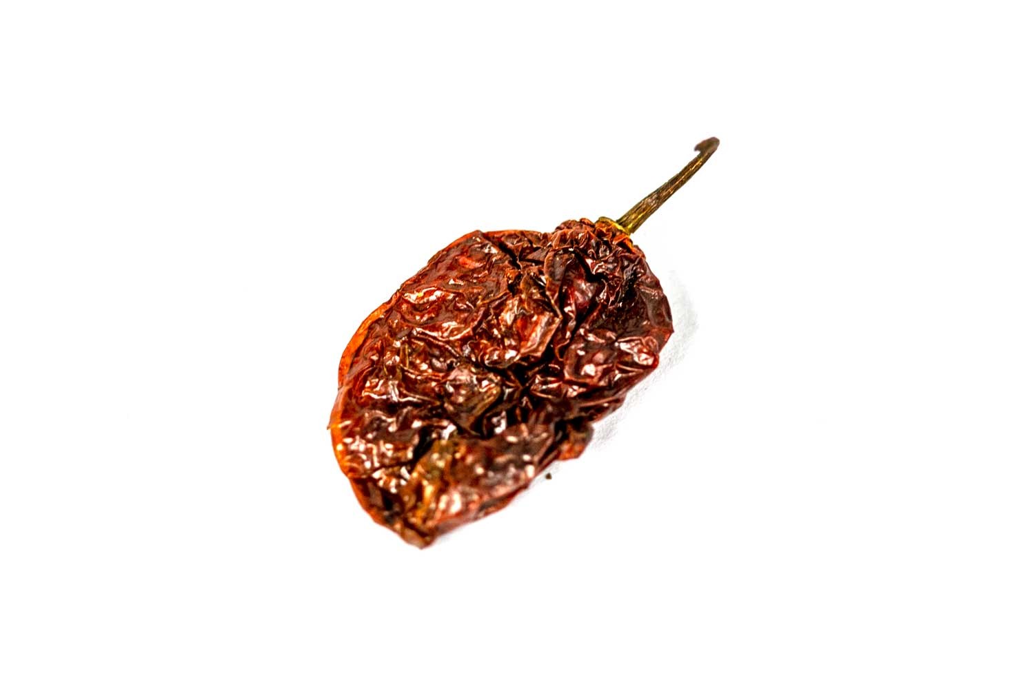 Piment bhut jolokia d’Assam