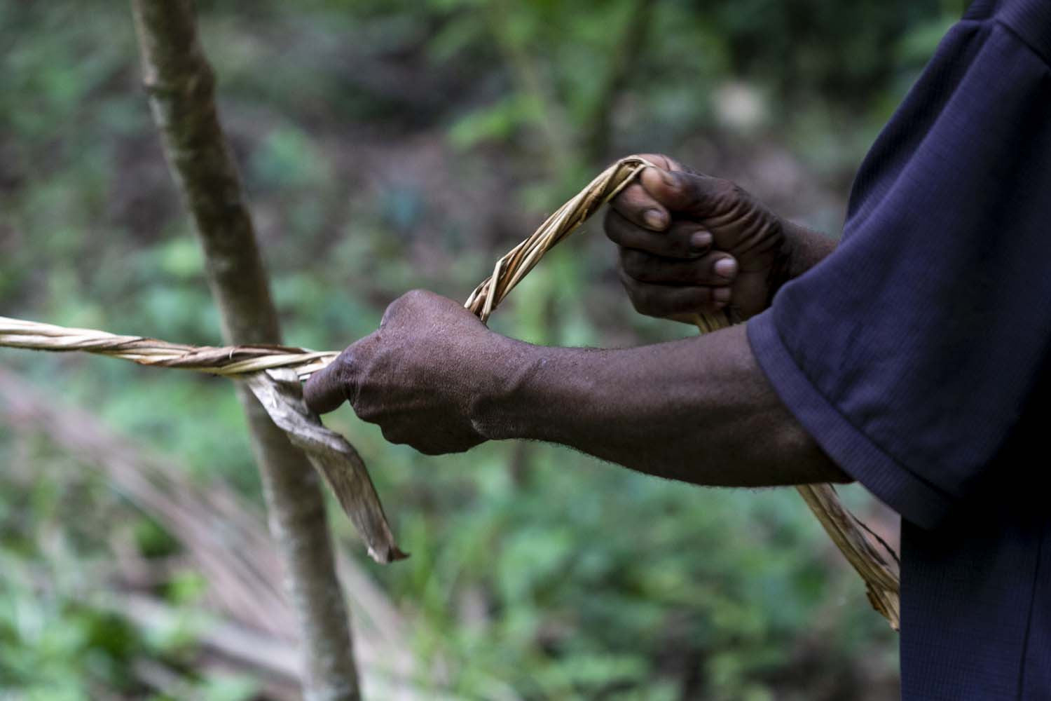 Poivre noir de Zanzibar – bio