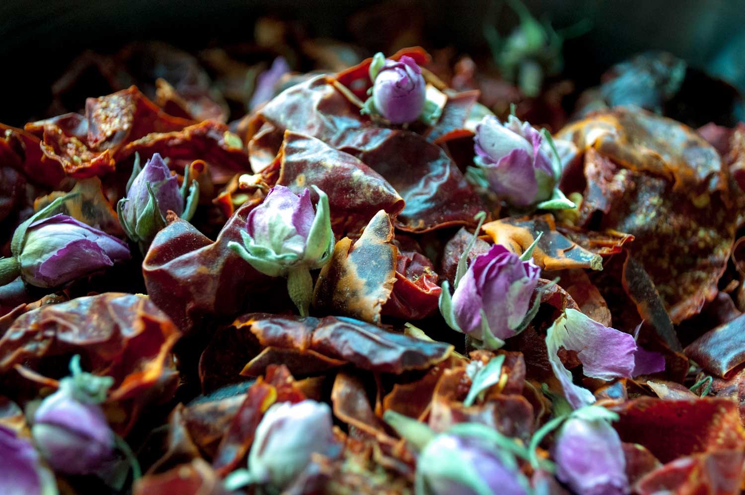 Harissa sèche à la rose d’Ispahan - bio