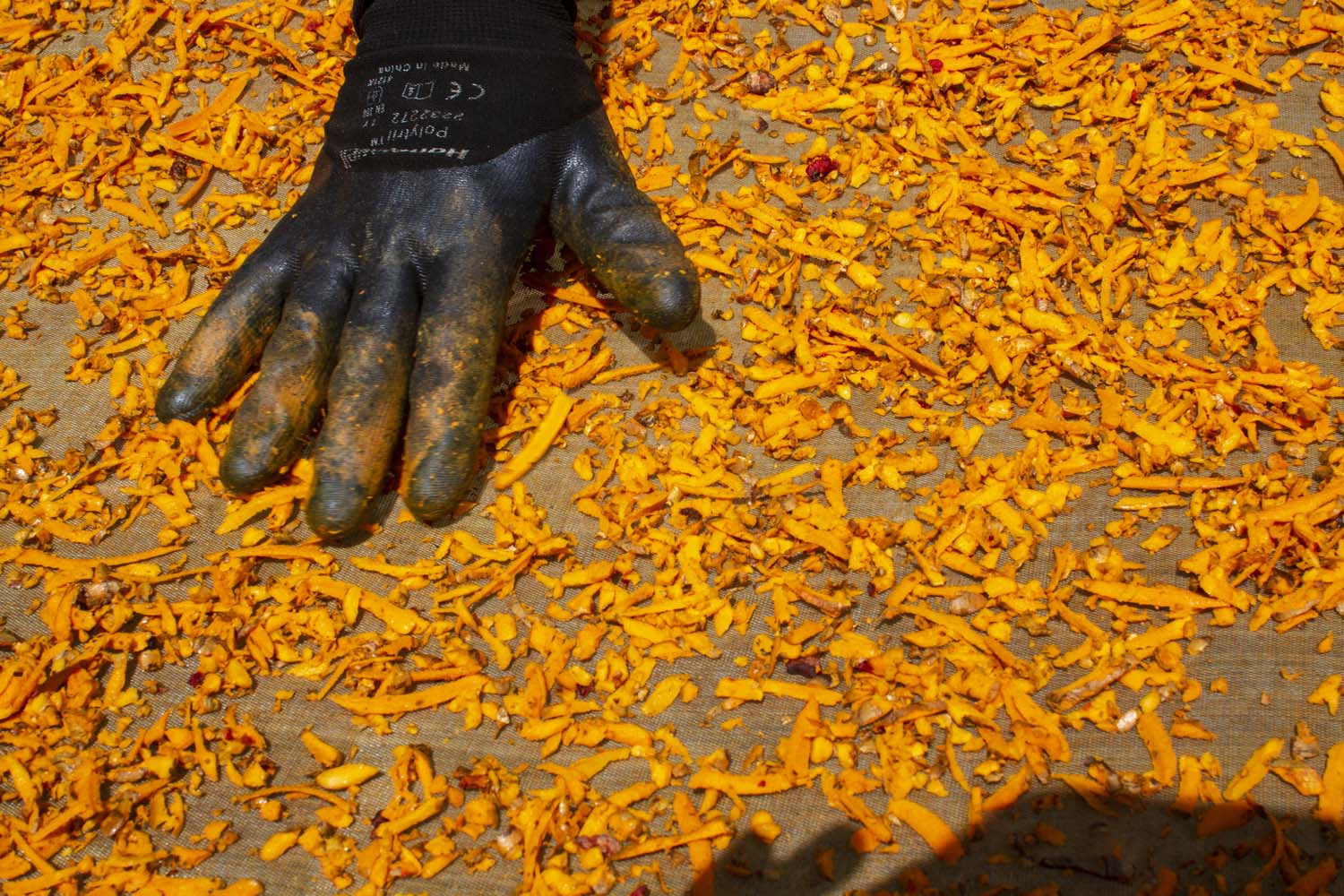 Curcuma Power - bio
