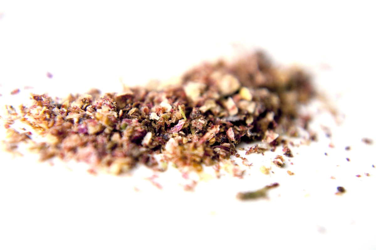 Sumac d'Iran – bio et sauvage