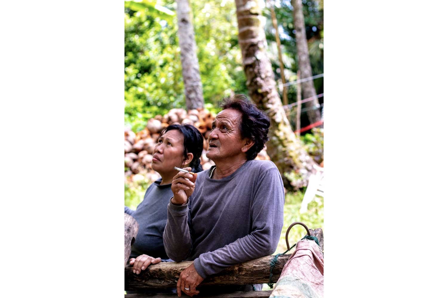 Girofle de Sulawesi – bio