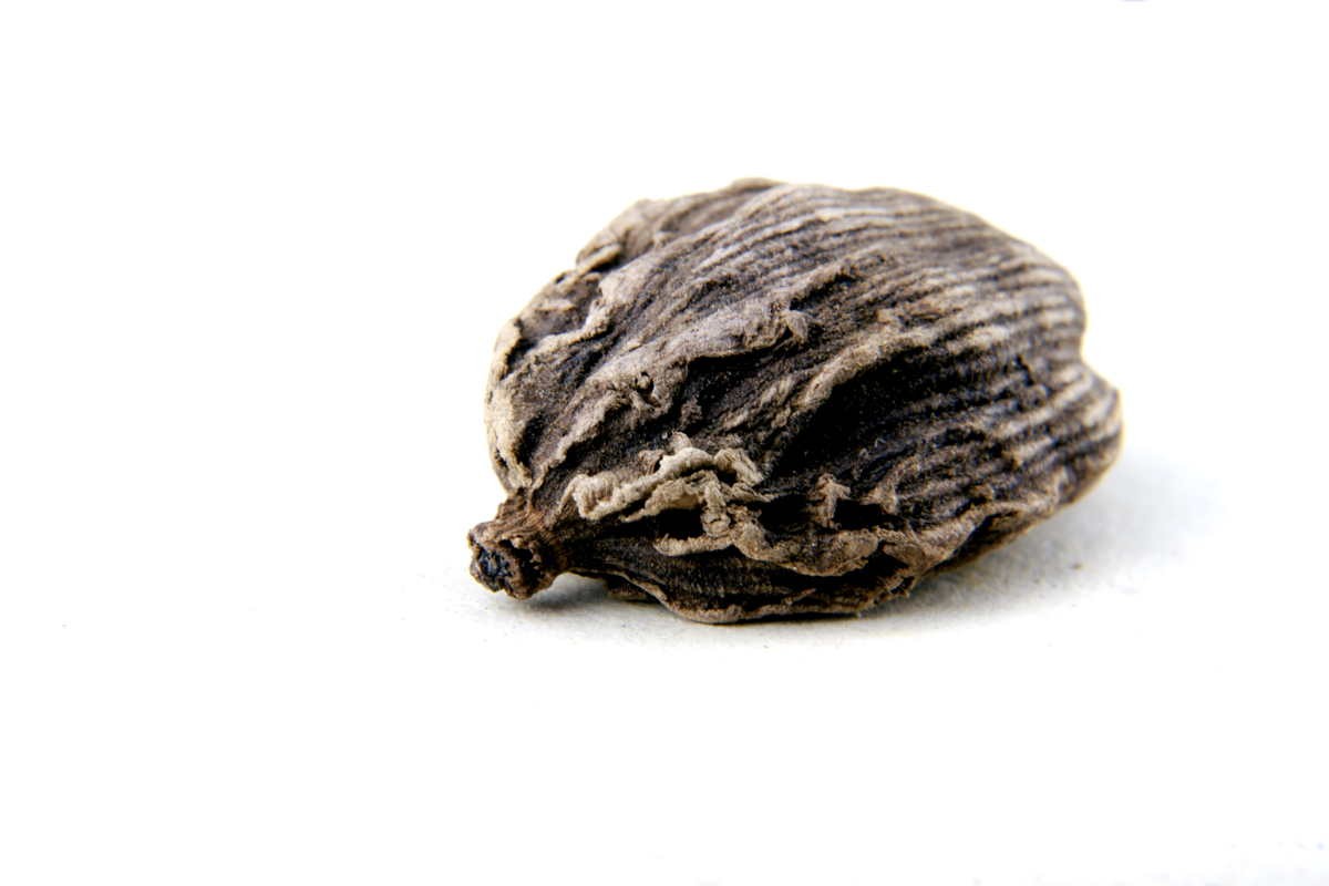 Cardamome noire du Népal - bio